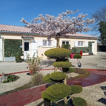 Une Pause Quelque Part Au Jardin Des Erables Et Des Niwakis Saint-Medard-de-Guizieres Exteriér fotografie