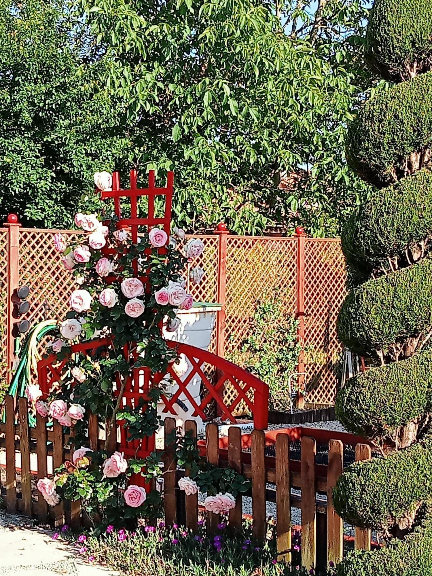 Une Pause Quelque Part Au Jardin Des Erables Et Des Niwakis Saint-Medard-de-Guizieres Exteriér fotografie